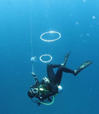 Alex and bubble rings