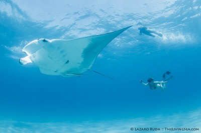 Manta and Dive guide Katie