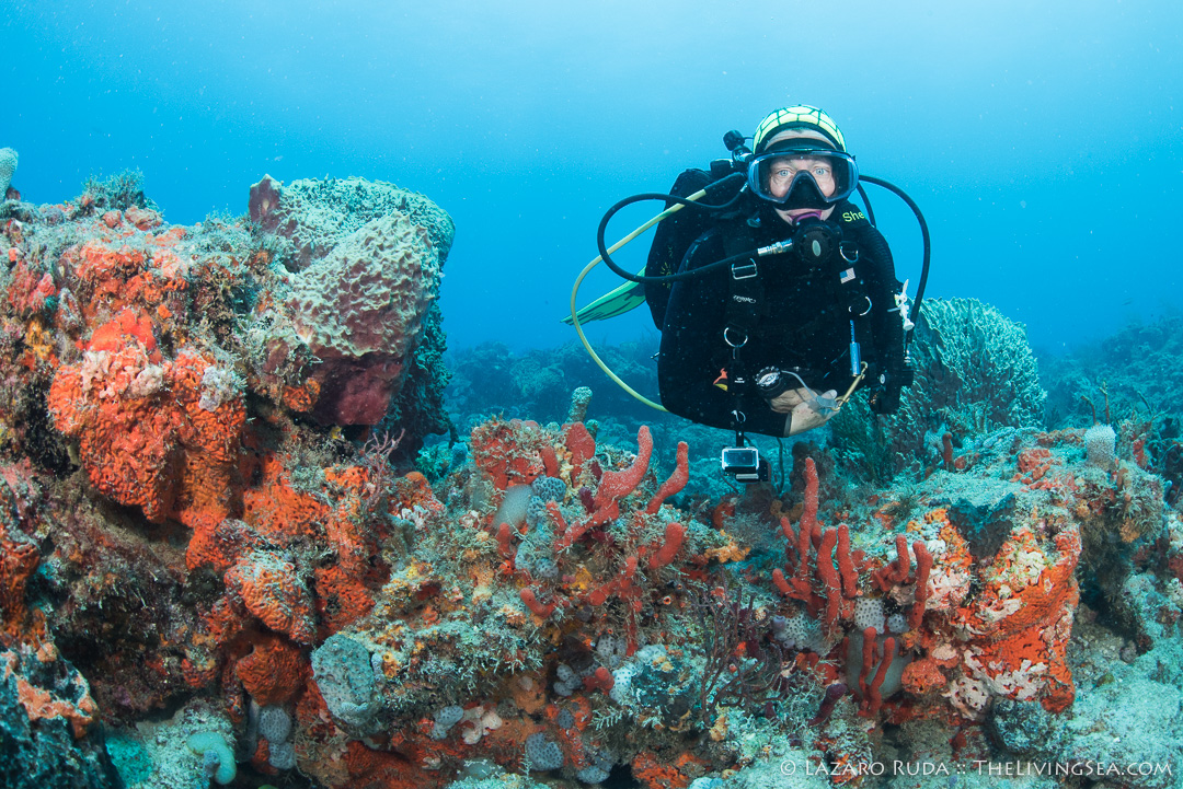 Excuses to go scuba diving - help a friend who is very down